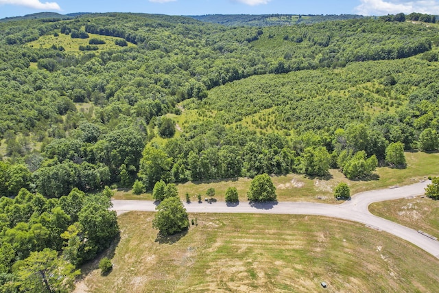 LOT19 Legends Ln, Hollister, MO 65672 - photo 9