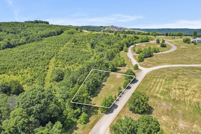 LOT19 Legends Ln, Hollister, MO 65672 - photo 15