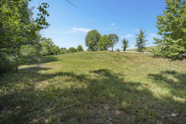 LOT19 Legends Ln, Hollister, MO 65672 - photo 6