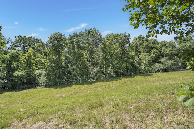 LOT19 Legends Ln, Hollister, MO 65672 - photo 8