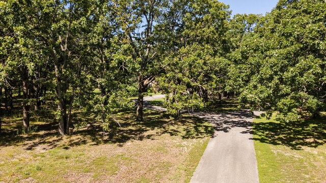 6337 S Farm Road 31, Billings, MO 65610 - view of street