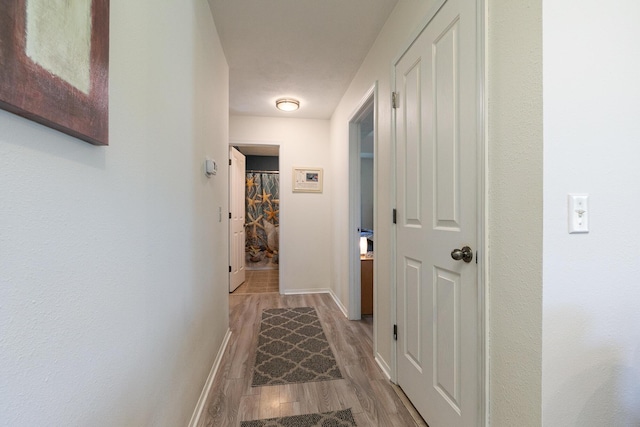 360 Durango Ln, Billings, MO 65610 - hallway with light wood finished floors and baseboards