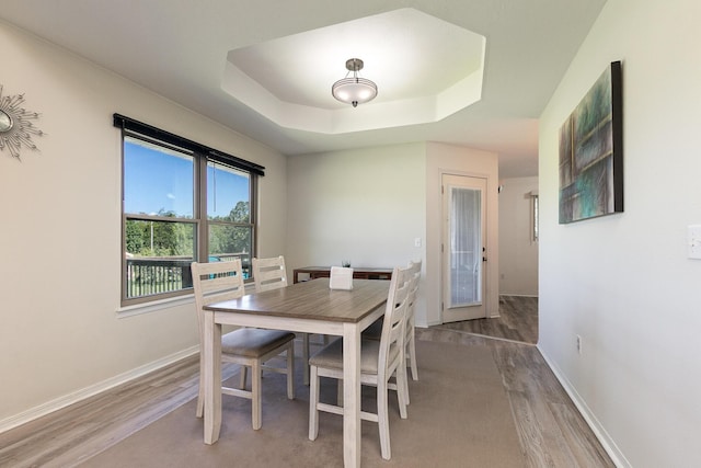 360 Durango Ln, Billings, MO 65610 - dining space featuring light wood finished floors and a raised ceiling