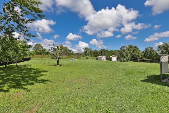 360 Durango Ln, Billings, MO 65610 - view of grassy yard featuring a storage unit
