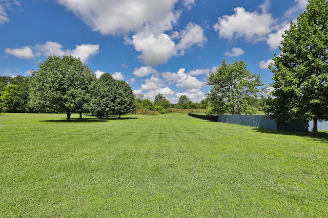 360 Durango Ln, Billings, MO 65610 - view of yard