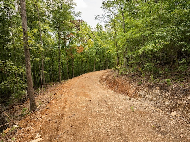 000 Stoneridge Center Rd, Reeds Spring, MO 65737 - photo 16
