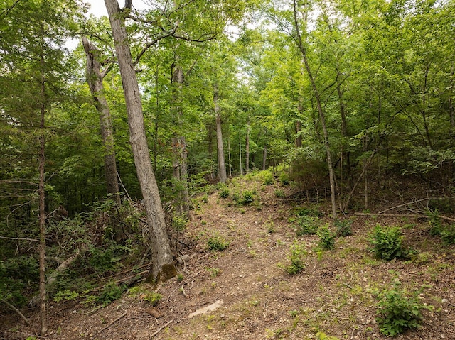 000 Stoneridge Center Rd, Reeds Spring, MO 65737 - photo 22