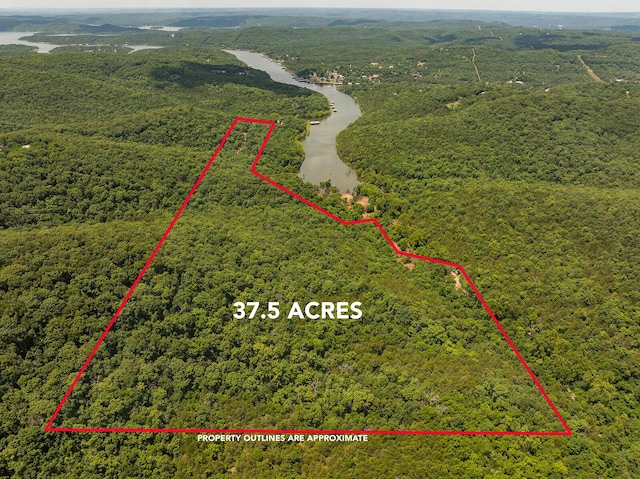 000 Stoneridge Center Rd, Reeds Spring, MO 65737 - photo 1