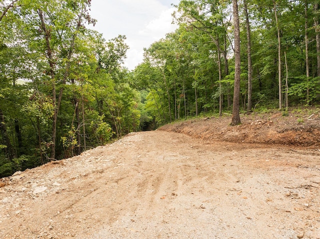 000 Stoneridge Center Rd, Reeds Spring, MO 65737 - photo 15