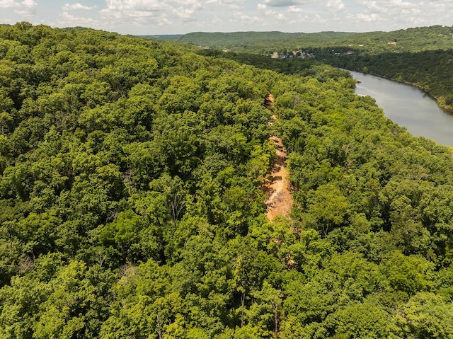 000 Stoneridge Center Rd, Reeds Spring, MO 65737 - photo 19