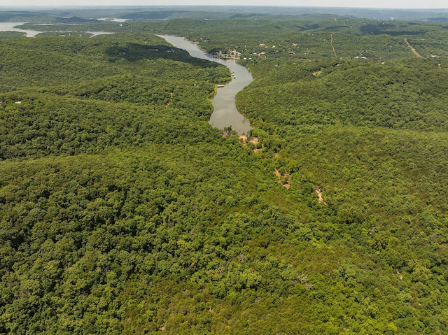 000 Stoneridge Center Rd, Reeds Spring, MO 65737 - photo 17