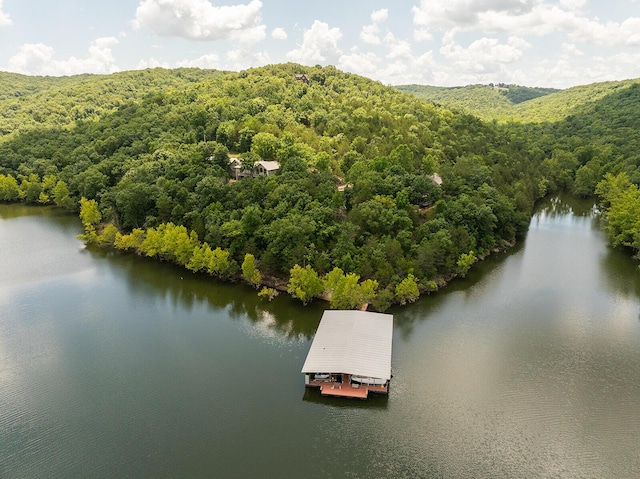 000 Stoneridge Center Rd, Reeds Spring, MO 65737 - photo 9