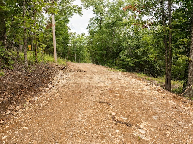 000 Stoneridge Center Rd, Reeds Spring, MO 65737 - photo 31