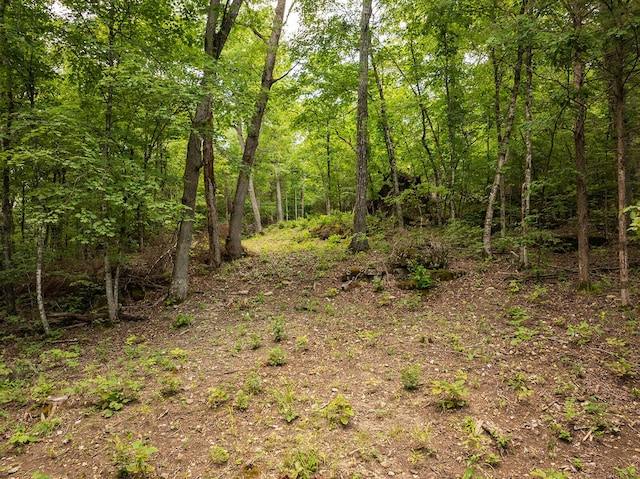 000 Stoneridge Center Rd, Reeds Spring, MO 65737 - photo 21