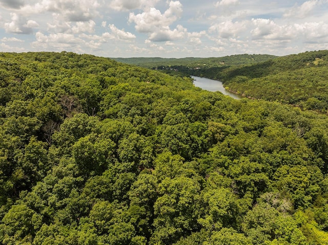 000 Stoneridge Center Rd, Reeds Spring, MO 65737 - photo 18