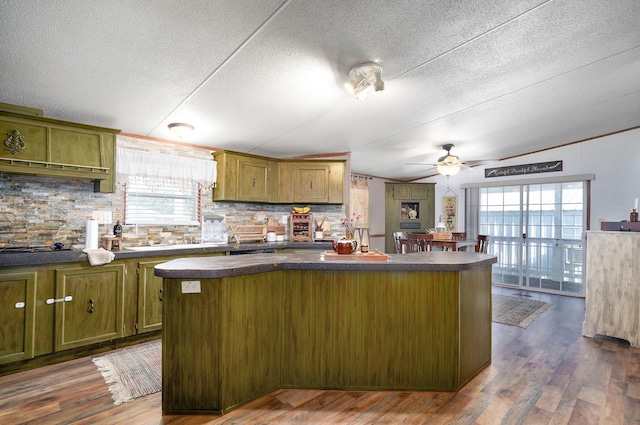 1410 S Elizabeth Rd, Stockton, MO 65785 - kitchen featuring green cabinets, dark countertops, healthy amount of natural light, a ceiling fan, and a textured ceiling
