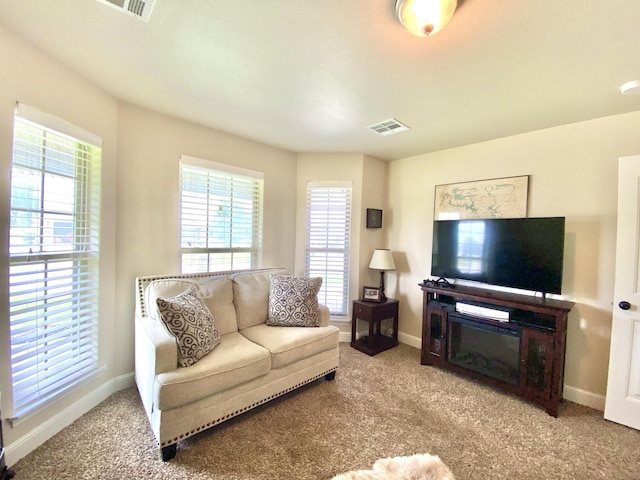 1113 Chesterfield Dr, Webb City, MO 64870 - living area with carpet floors and baseboards