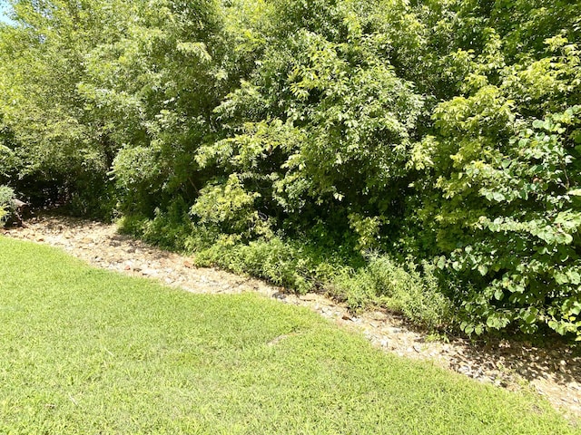 1113 Chesterfield Dr, Webb City, MO 64870 - view of grassy yard