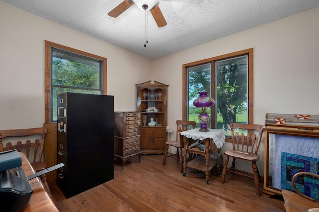 8610 N Farm Road 53, Walnut Grove, MO 65770 - photo 13