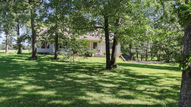 3357 Ozark St, West Plains, MO 65775 - photo 6