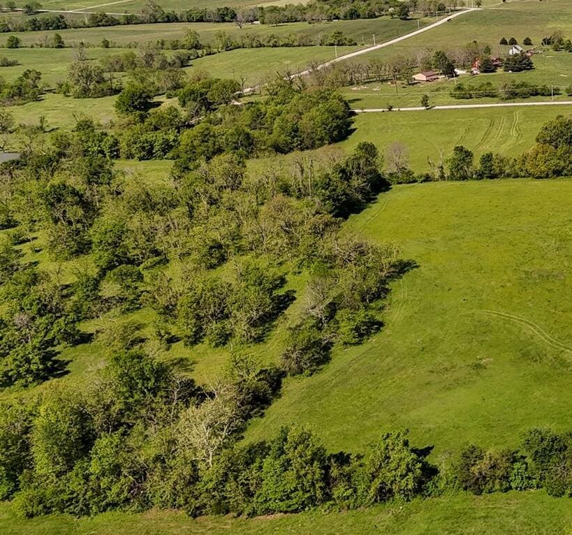 000 N Farm Road 53, Walnut Grove, MO 65770
