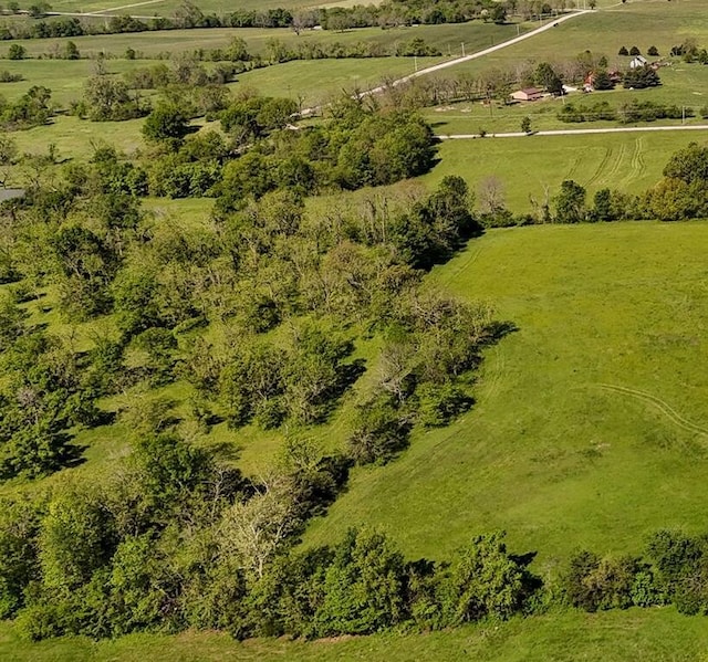 000 N Farm Road 53, Walnut Grove, MO 65770