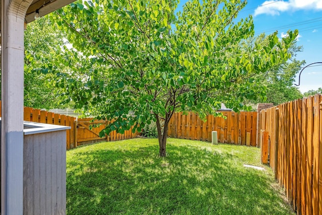 2419 W Deerbrooke Trl, Ozark, MO 65721 - view of fenced backyard