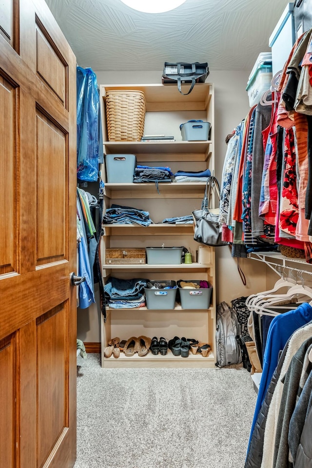 2419 W Deerbrooke Trl, Ozark, MO 65721 - spacious closet featuring carpet floors
