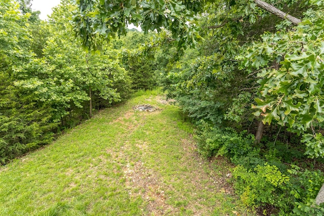 297 Kelsi Ln, Branson, MO 65616 - view of grassy yard