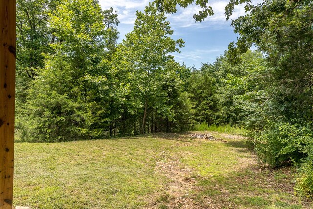 297 Kelsi Ln, Branson, MO 65616 - view of grassy yard with a view of trees