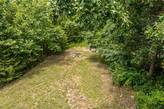 297 Kelsi Ln, Branson, MO 65616 - view of green lawn