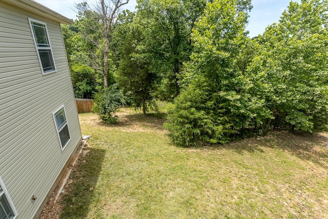 297 Kelsi Ln, Branson, MO 65616 - view of green lawn