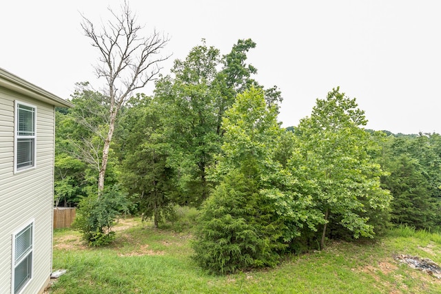 297 Kelsi Ln, Branson, MO 65616 - view of yard