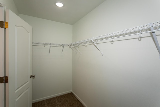 297 Kelsi Ln, Branson, MO 65616 - walk in closet featuring dark carpet
