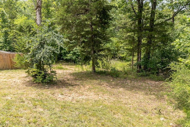 297 Kelsi Ln, Branson, MO 65616 - view of tree filled area