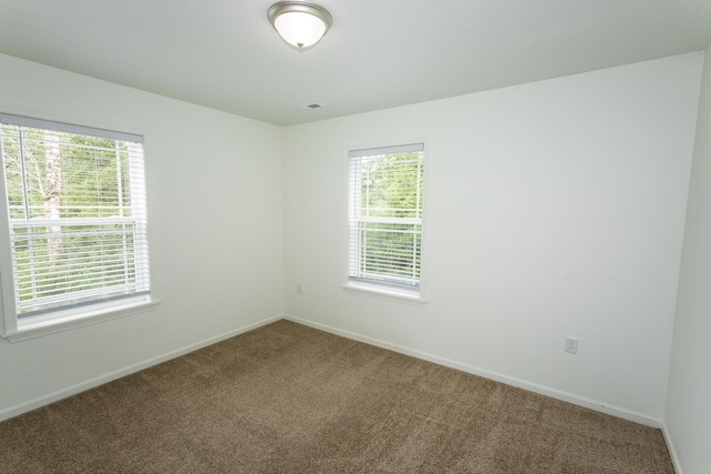 297 Kelsi Ln, Branson, MO 65616 - spare room featuring carpet and plenty of natural light