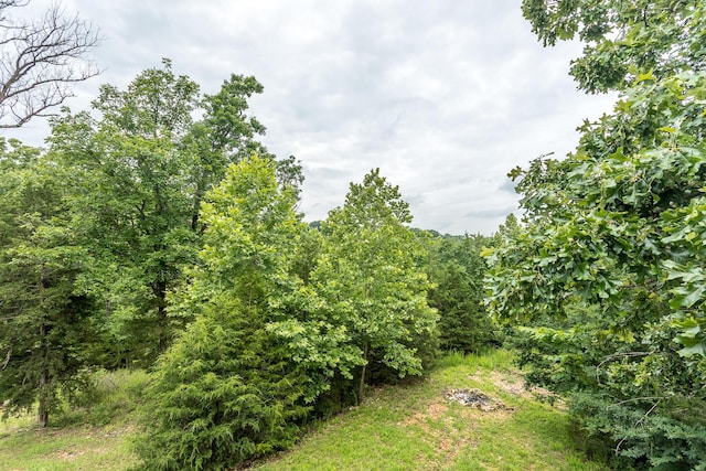 297 Kelsi Ln, Branson, MO 65616 - view of yard