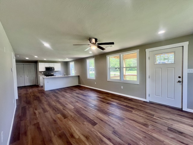 711 W Woodbine Rd, Ash Grove, MO 65604 - unfurnished living room with plenty of natural light, dark wood-type flooring, ceiling fan, and recessed lighting