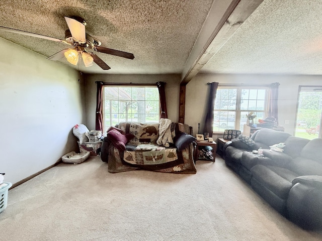 651 Plainview Dr, Houston, MO 65483 - photo 8