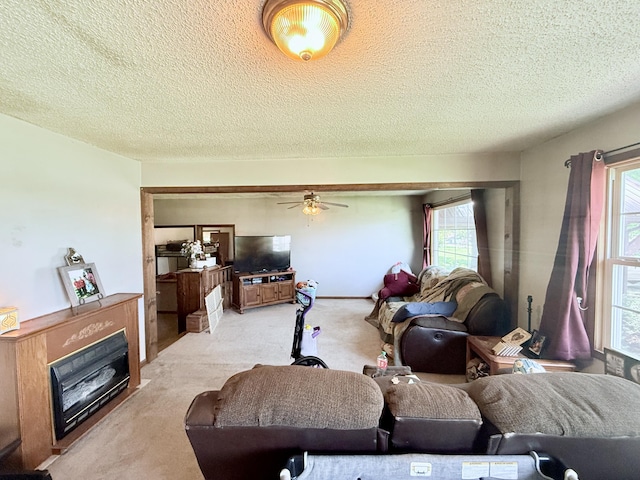 651 Plainview Dr, Houston, MO 65483 - photo 6