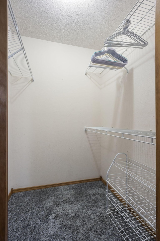 508 N Cherry Cir, Nixa, MO 65714 - walk in closet with carpet floors