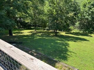 134 Meadowbrook Ln, Walnut Shade, MO 65771 - view of grassy yard