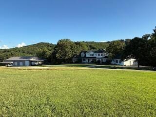 134 Meadowbrook Ln, Walnut Shade, MO 65771 - view of grassy yard