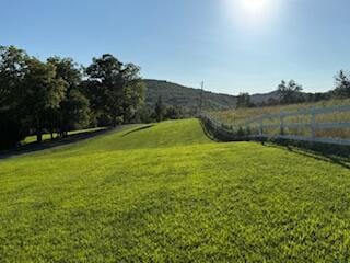 134 Meadowbrook Ln, Walnut Shade, MO 65771 - view of yard