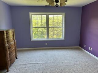 134 Meadowbrook Ln, Walnut Shade, MO 65771 - carpeted spare room featuring ceiling fan and healthy amount of natural light