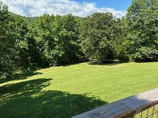 134 Meadowbrook Ln, Walnut Shade, MO 65771 - view of green lawn with a wooded view