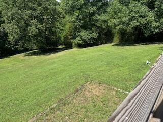 134 Meadowbrook Ln, Walnut Shade, MO 65771 - view of green lawn