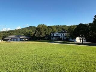 134 Meadowbrook Ln, Walnut Shade, MO 65771 - view of green lawn