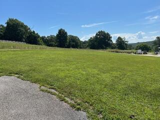 134 Meadowbrook Ln, Walnut Shade, MO 65771 - view of green lawn featuring a view of rural / pastoral area