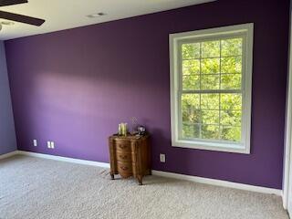 134 Meadowbrook Ln, Walnut Shade, MO 65771 - spare room featuring a ceiling fan and carpet floors
